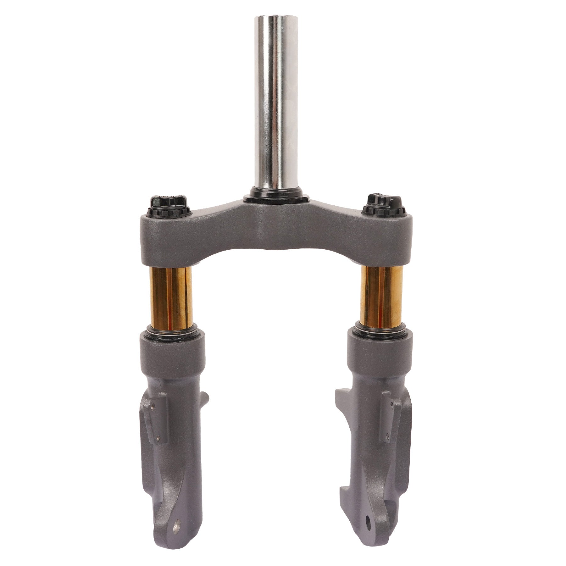 Front Suspension Fork for RZ800