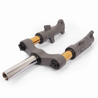 Front Suspension Fork for RZ800
