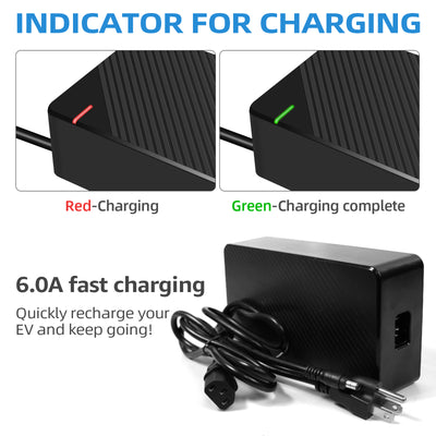 54.6V 6A Fast Charger for RZ800 & RZ1000